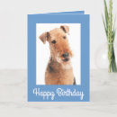 Recherche de airedale vœux cartes Airedale terrier chiot