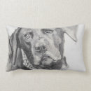 Recherche de labrador retriever décoration coussins Noir