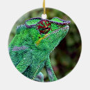 Recherche de cameleon ornements Vert