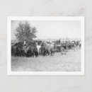 Recherche de de cowboys cartes postales Amérique