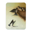 Recherche de bouche magnets Oiseau