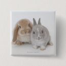 Recherche de nature photo badges Gris
