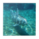 Recherche de natation carreaux Sous marin