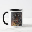 Recherche de tigre bengale tasses Dehors