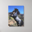 Recherche de cheval bleu toiles Toute personne