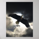 Recherche de aigle posters Oiseaux