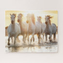 Recherche de cheval blanc puzzles Chevaux