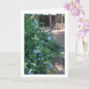 Recherche de fleuristes cartes postales Jardiniers