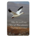 Recherche de essais magnets Pour tous