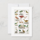 Recherche de oiseaux en vol invitations Vintage