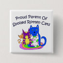 Recherche de chat pourri Chaton