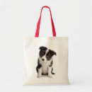 Recherche de border collie sacs Chiot collie frontalier