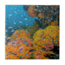 Recherche de barrière carreaux Sous marin