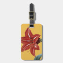 Recherche de amaryllis accessoires Illustration de fleur