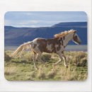 Recherche de étalons tapis souris Montagne de steens