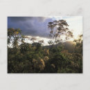 Recherche de tanzanie cartes postales Safari