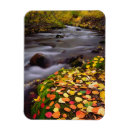 Recherche de en abondance vœux cartes Brillant