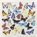 Recherche de papillon bleu morpho dessous de verres Animal