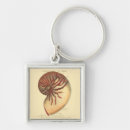 Recherche de conque porteclés Mer