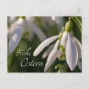 Recherche de oeufs de pâques cartes postales Ostéium