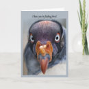 Recherche de fauve cartes postales Oiseau
