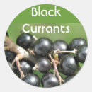 Recherche de cassis autocollants Groseilles