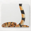 Recherche de blooded tapis souris Échelles