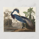 Recherche de louisiana cartes postales Nature