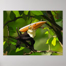 Recherche de triassique posters Jurassique