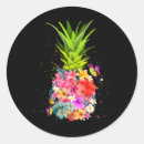 Recherche de vintage hawaii autocollants Ananas