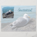 Recherche de argent 16x22 invitations Goélands