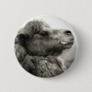 Recherche de chameaux badges Nature