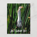 Recherche de timide cartes postales Nature