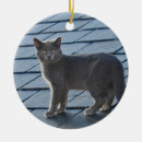 Recherche de le chaton ornements Animal familier