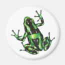 Recherche de dard de poison Grenouille