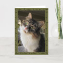 Recherche de sibériennes de chat cartes vœux cartes Pour tous