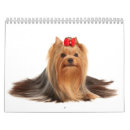 Recherche de beaucoup bureau fournitures Chien