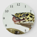 Recherche de gecko horloges Faune