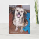 Recherche de jumping vœux cartes Dog