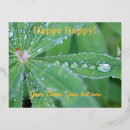 Recherche de rosée de matin vœux cartes Pluie