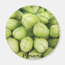 Recherche de courge magnets Nourriture