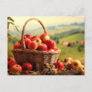 Recherche de corbeille fruits cartes postales Corbeille de pommes