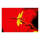 Recherche de aile posters Rouge