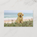 Recherche de sables cartes visite Chien