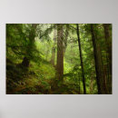 Recherche de olympien posters Forêt