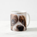 Recherche de animal familier tasses Chiot