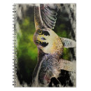 Recherche de faucons carnets Faucon pèlerin