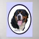 Recherche de montagnes suisses posters Beau