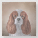 Recherche de chienchien dessous de verres Canin