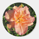 Recherche de originale magnets Fleurs